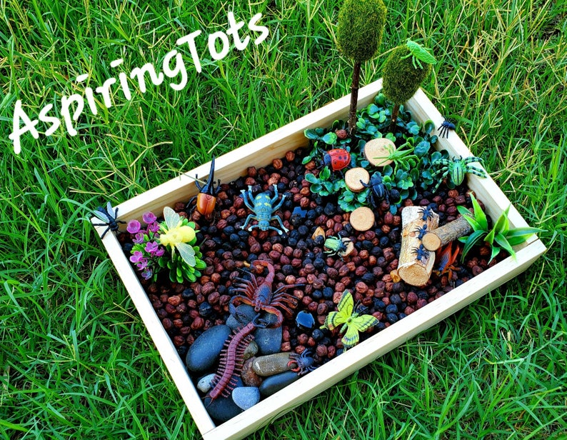 Garden Bugs Sensory Science Bin/ Bug Discovery Box/ Montessori Learning w/Open Ended Pretend Play/Reggio Spring Loose Parts Tray image 8