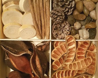Nature Loose Parts Tray: Montessori Sensory Play Set, Waldorf Seasonal Table, Cones, Pods, Wood, Rocks