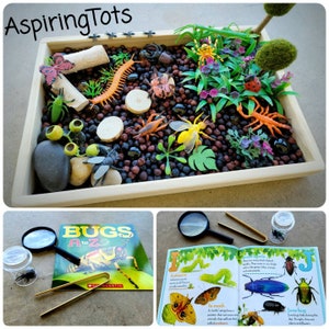 Garden Bugs Sensory Science Bin/ Bug Discovery Box/ Montessori Learning w/Open Ended Pretend Play/Reggio Spring Loose Parts Tray