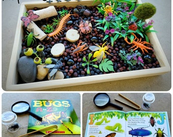 Garden Bugs Sensory Science Bin/ Bug Discovery Box/ Montessori Learning w/Open Ended Pretend Play/Reggio Spring Loose Parts Tray
