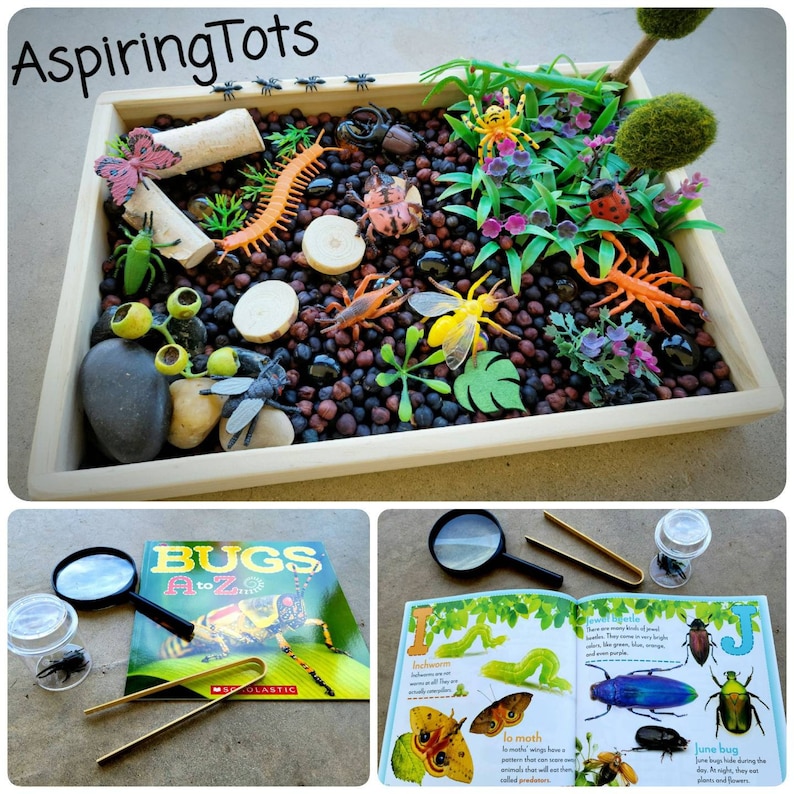 Garden Bugs Sensory Science Bin/ Bug Discovery Box/ Montessori Learning w/Open Ended Pretend Play/Reggio Spring Loose Parts Tray image 1