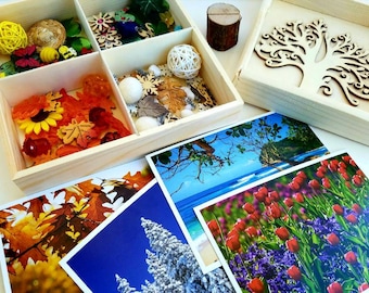 4 Seasons Tree Loose Parts Tray/ Reggio Season Provocation/ Montessori Learning Activity/ Waldorf Seasonal Nature Table