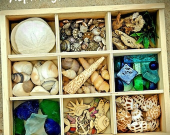 Reggio- inspiré Ocean Loose Parts/ Sea Treasure Tinker Tray/ Montessori Materials/ Charlotte Mason Nature Study/ Waldorf Summer Table
