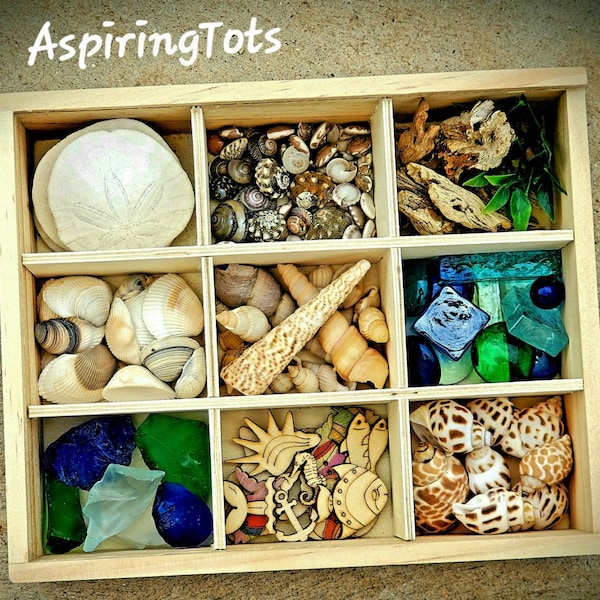 Reggio- inspired Ocean Loose Parts/ Sea Treasure Tinker Tray/ Montessori Materials/ Charlotte Mason Nature Study/ Waldorf Summer Table