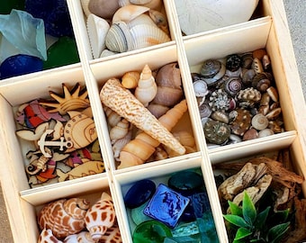Ocean Loose Parts Tray: Montessori Sea Treasures, Shells, Sea Glass, Life Science Nature Study