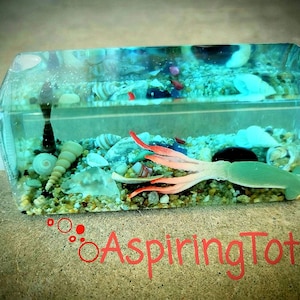 May include: A clear plastic bottle filled with blue liquid and sand. A small, green and pink octopus is visible in the sand. The bottle has a white cap and is labeled "Aspiring Tots".