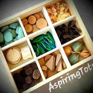 Reggio- inspired Nature Loose Parts Tray #2/ Waldorf Natural Toy/ Montessori Materials/ Open ended Tinker Tray/ Charlotte Mason Nature Study