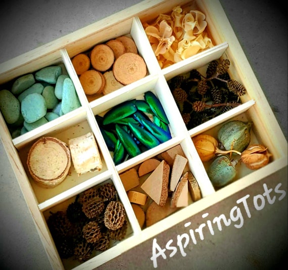 Nature Loose Parts Tray #2/ Waldorf Natural Toy/ Montessori or Reggio Emilia Materials/ Open ended Tinker Tray/ Charlotte Mason Nature Study