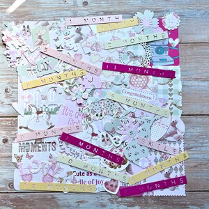 Sweet Baby Girl Digital Scrapbook Kit for Digital Scrapbooking and Paper  Crafting 