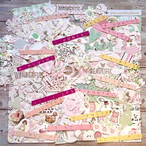 Baby Mädchen Scrapbook Papier, Baby Geschenk, Junk Journal Verzierungen, Scrapbooking Set für werdende Eltern, Newborn Journaling Ephemera