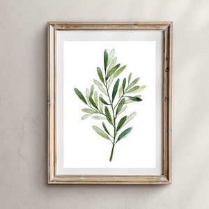 Olive branch Print, olive Leaves, Botanical Print, Botanical Art Prints, Botanical Wall Art, Greenery art print, olive branch Wall Art