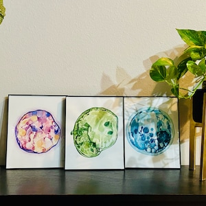 Acuarela de embrión de FIV personalizada, regalo de embarazo personalizado, arte de la pared de la guardería, arte de la fertilidad, arte del embarazo, bebé arco iris, baby shower