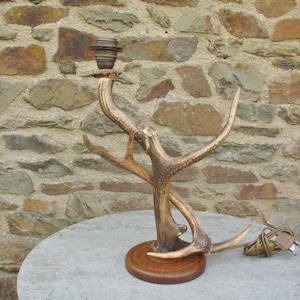 May include: A rustic table lamp featuring a natural antler design. The lamp has a brown wooden base and a light brown antler structure supporting the light fixture. The lamp is on a round, gray table with a stone wall in the background.
