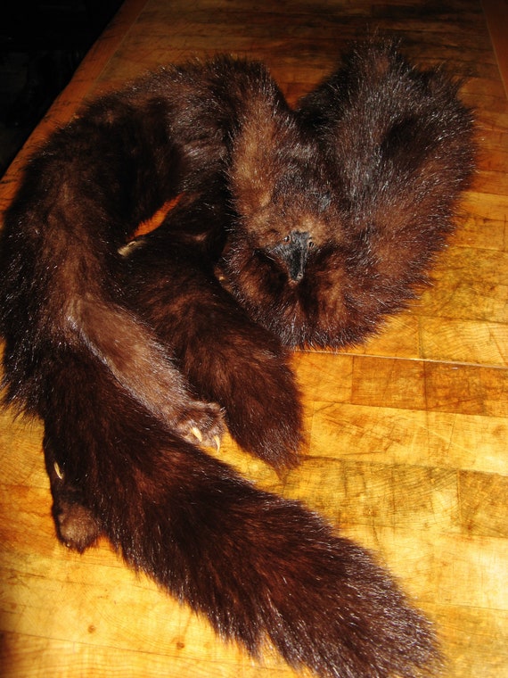 A Beautiful Vintage French Double Mink Fur Stole/… - image 3