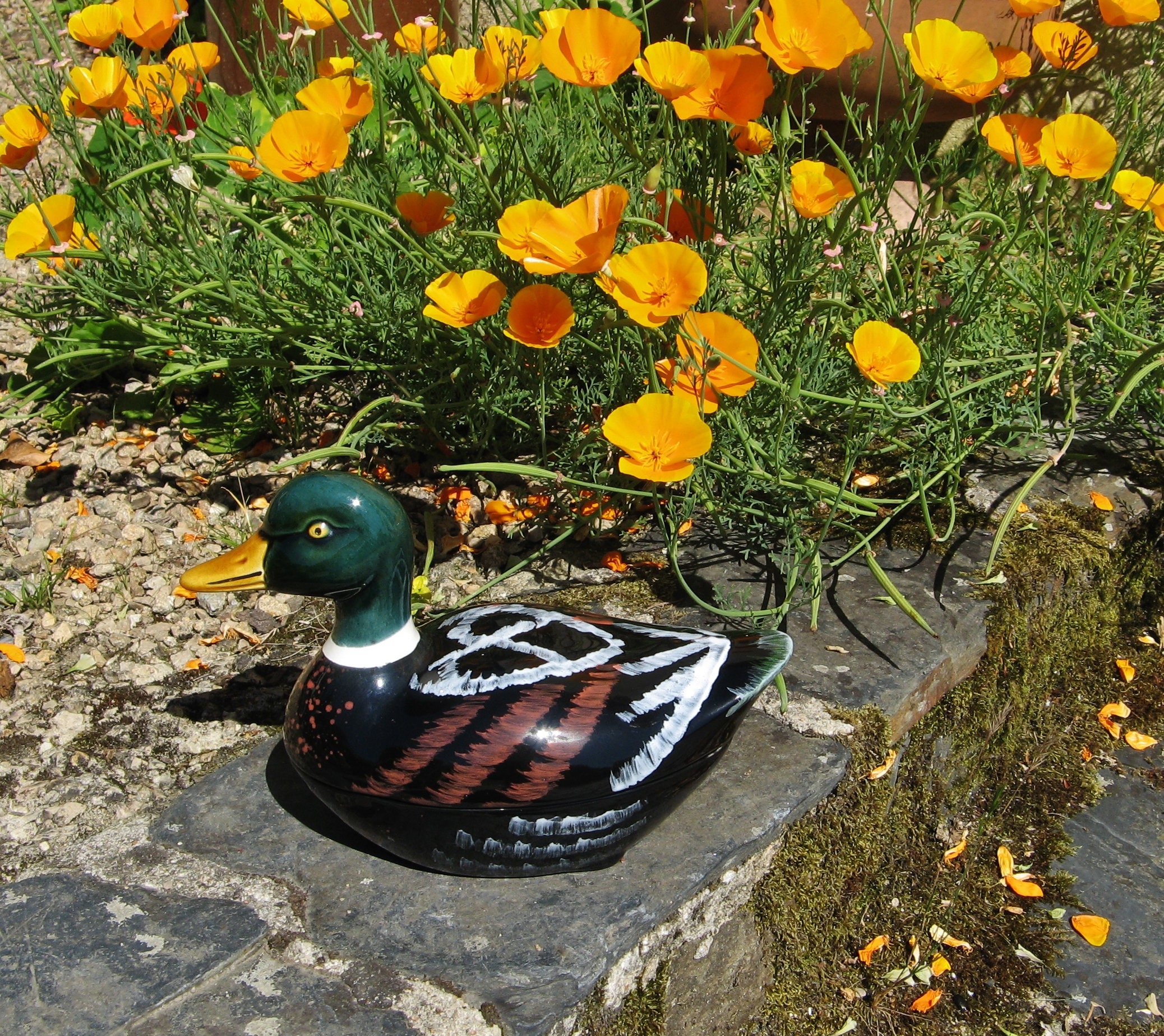 Vintage Français Grand Plat de Terrine Canard en Céramique Par Michel Caugant ~ Great Farmhouse/Coun