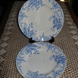 2 x  Beautiful Vintage French Plates ~ St Armand Et Hamage Nord~ Rare Pattern &quot;Campanule&quot; ~ 1900&#39;s