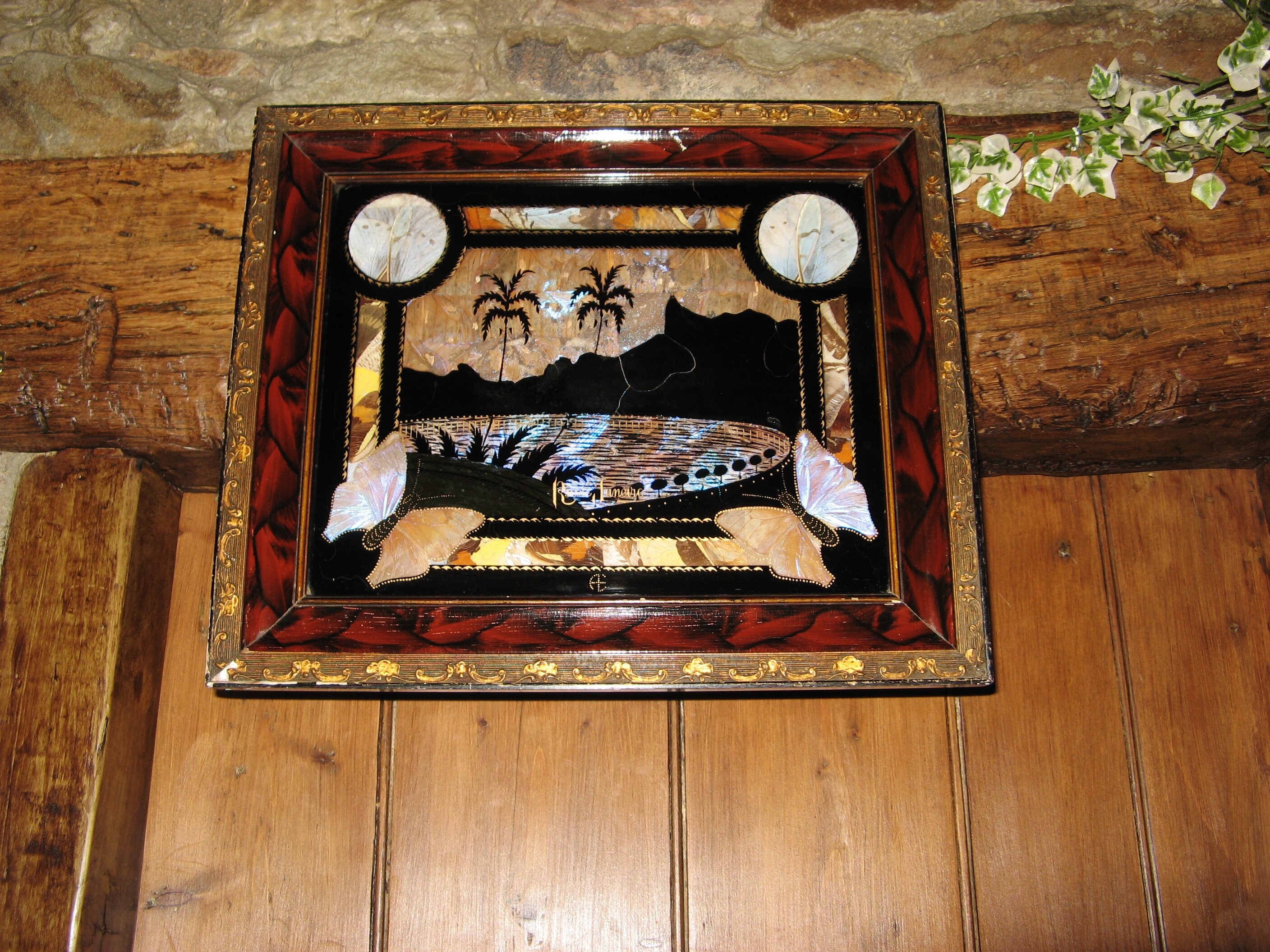 Belle Taxidermie Brésilienne Vintage Ailes de Papillon Pressées Image Dans Un Cadre Vitré/~ Rio de J