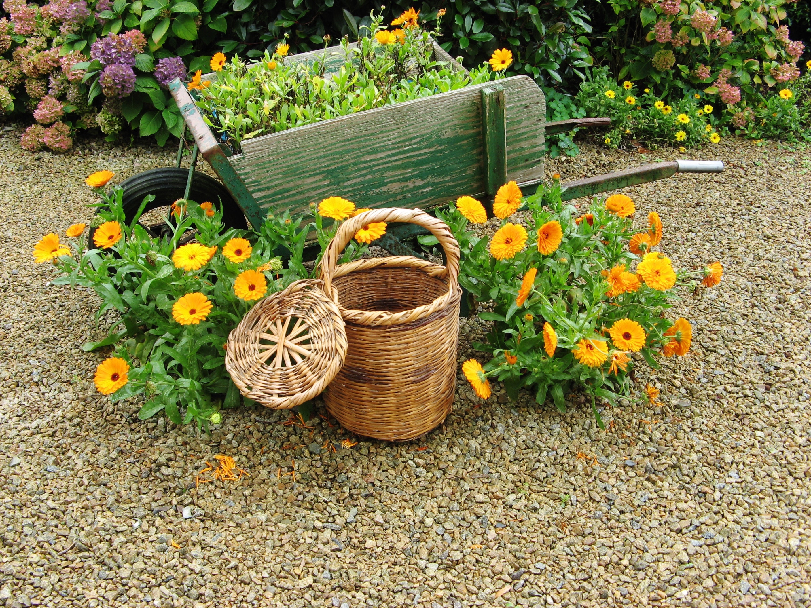 Round wicker basket with lid in natural colour. Picnic basket. Jane Birkin  bask - Shop BasketsATELIER Other - Pinkoi