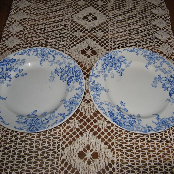 2 x belles assiettes françaises vintage ~ St Armand et Hamage Nord ~ motif rare "Campanule" ~ années 1900