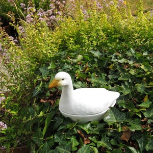 Une faïence peinte à la main française vintage / Majolica Goose Terrine ~ Michel Caugant ~ 1970,s ~ French Country Kitchen