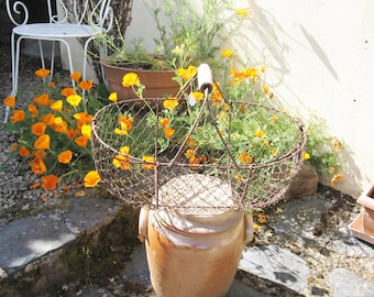 May include: A rustic wire basket with a wooden handle sits on top of a brown ceramic pot. The basket is surrounded by orange California poppies.