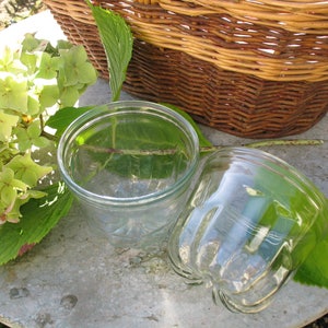 A Very Good Pair of Vintage French Glass Jelly Molds
