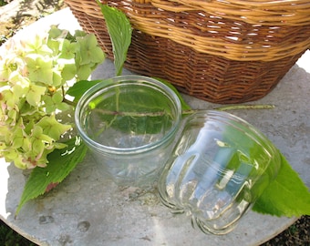 A Very Good Pair of Vintage French Glass Jelly Molds