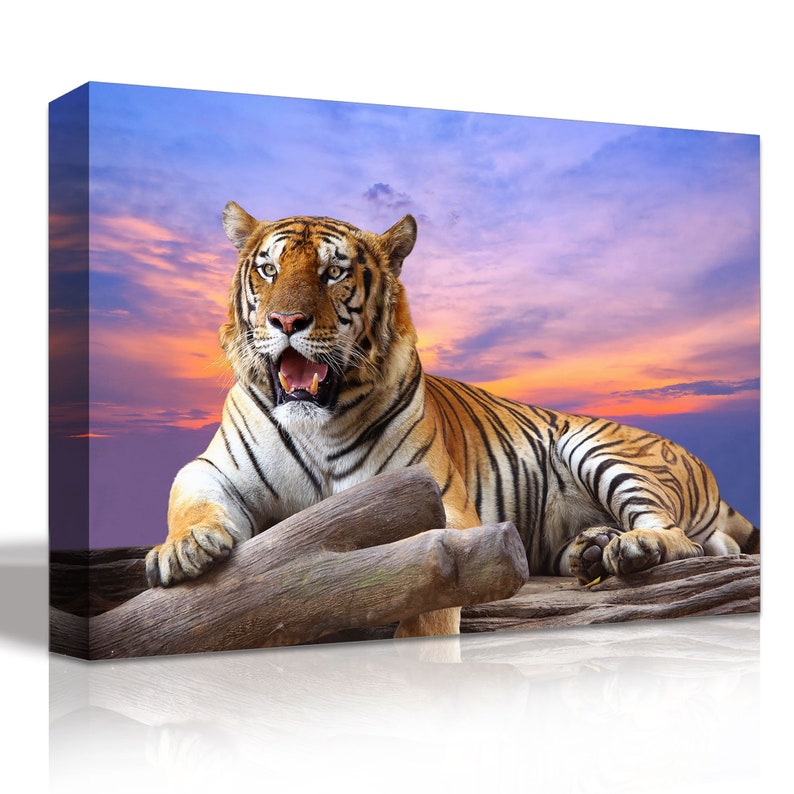 Tiger Canvas Tiger Wall Art Tiger Print Tiger Wall Decor Etsy