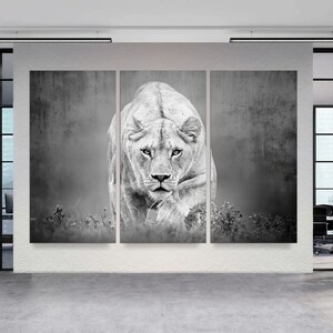May include: A black and white triptych canvas print featuring a lioness walking towards the viewer. The artwork is displayed in a modern office setting. The lioness is the focal point, with detailed fur and piercing eyes.