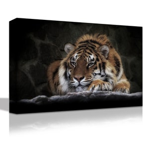 May include: A close-up of a tiger lying down with its head resting on its paws. The tiger has orange and black stripes and is in a dark, shadowy setting.