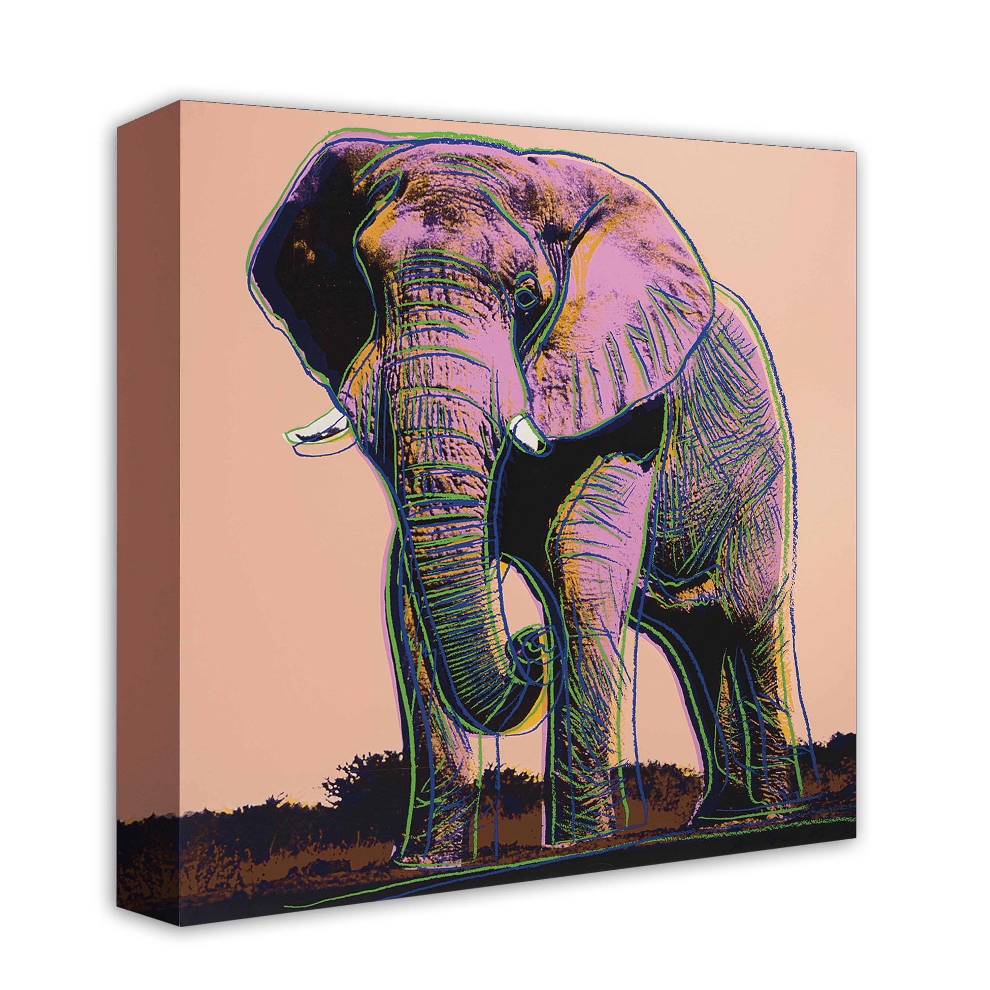 【ポスター】アンディ ウォーホル african elephant A1サイズ Andy Warhol, African Elephant, from the Endangered Species