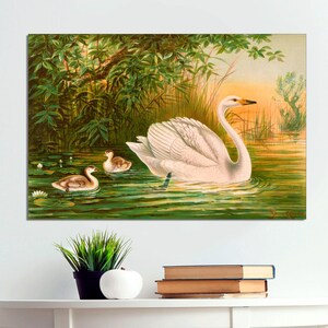 Vintage Swans Art Print on Canvas, Vintage Swan Poster Art, Classic Swan Art, Beautiful Swan Print, Swan Wall Art on CANVAS Ready to Hang.