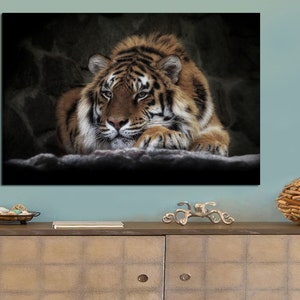 May include: A close-up of a tiger lying down with its head resting on its paws. The tiger has orange and black stripes and is looking directly at the camera. The background is a dark, textured wall.