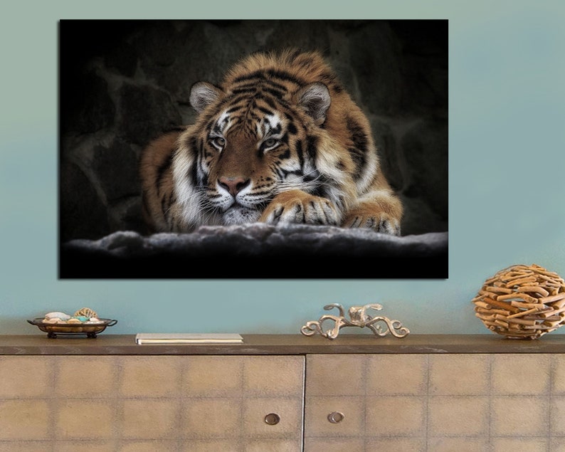 May include: A close-up of a tiger lying down with its head resting on its paws. The tiger has orange and black stripes and is looking directly at the camera. The background is a dark, textured wall.