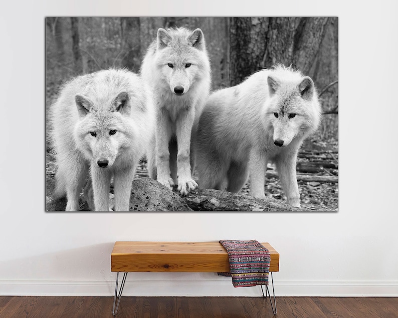 Wolf Art Canvas Framed Wolves Picture Canvas Print Wolf Etsy