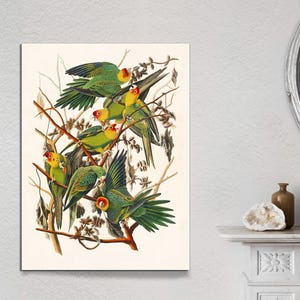 Parrot Bird Painting, Vintage Retro Tropical Macaw Parrot Bird Avian Aviary Blue Red Green Art Print, Parrot Wall Decor CANVAS Ready to Hang