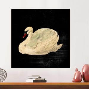 Aert Schouman - Knobbelzwaan, Mute Swan, Antique Swan Canvas,  Black Background Swan Art, Vintage Dark Swan Art, CANVAS Print Ready to Hang.