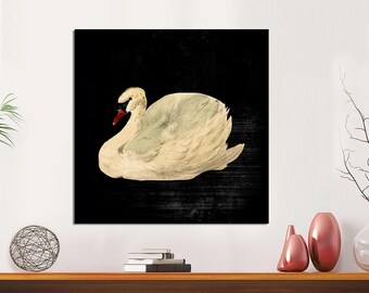 Antique Swan Canvas Print - Vintage Dark Swan Art, Ready to Hang
