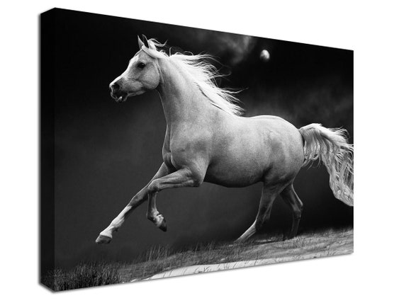 Beautiful Black Horse Running Wall Poster Paper Print - Art