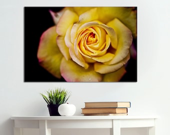 Yellow Rose Canvas Print, Large Floral Wall Art Ready to Hang