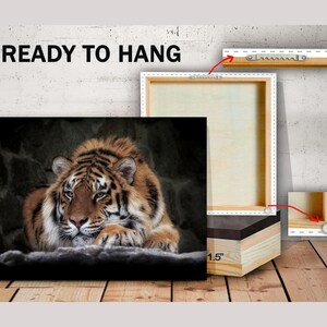 May include: A close-up of a tiger resting its head on a rock. The tiger has orange and black stripes and is looking at the camera. The tiger is in a dark, shadowy environment. The image is a canvas print, ready to hang, with a 1.5 inch thick frame.