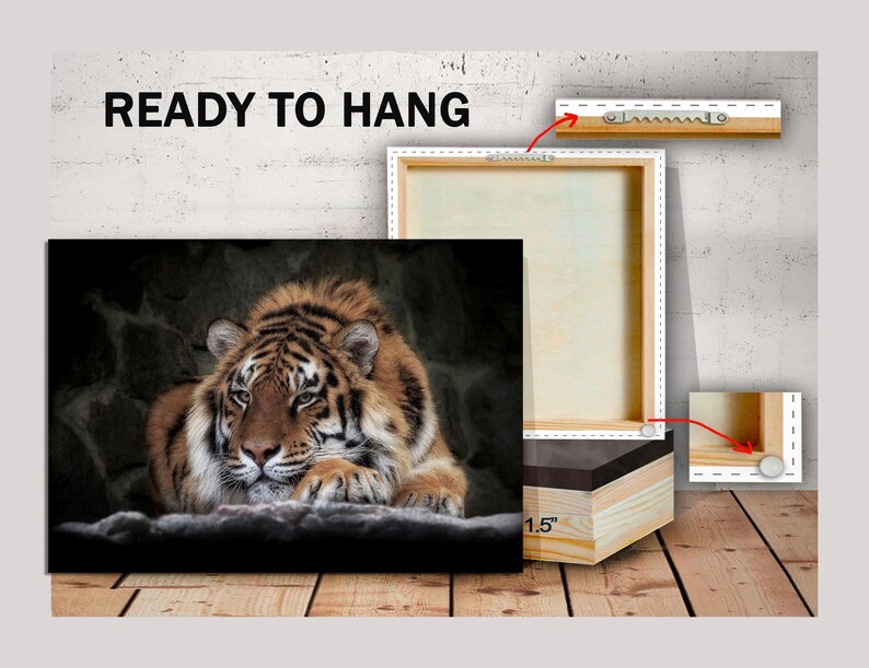 May include: A close-up of a tiger resting its head on a rock. The tiger has orange and black stripes and is looking at the camera. The tiger is in a dark, shadowy environment. The image is a canvas print, ready to hang, with a 1.5 inch thick frame.