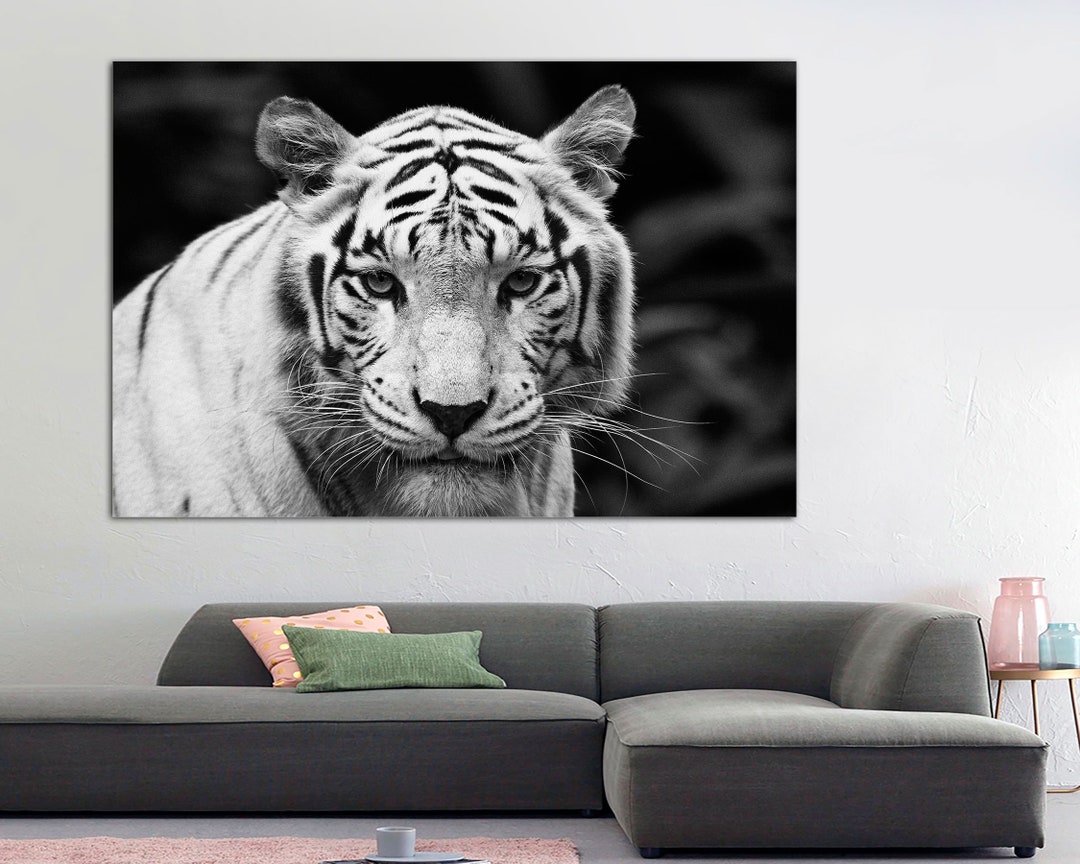 Black and White Tiger Print Wall Art Print Prints on Canvas the Face of