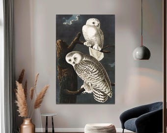 Snowy Owls Canvas Art, Audubon Style Giclée Print, Ready to Hang