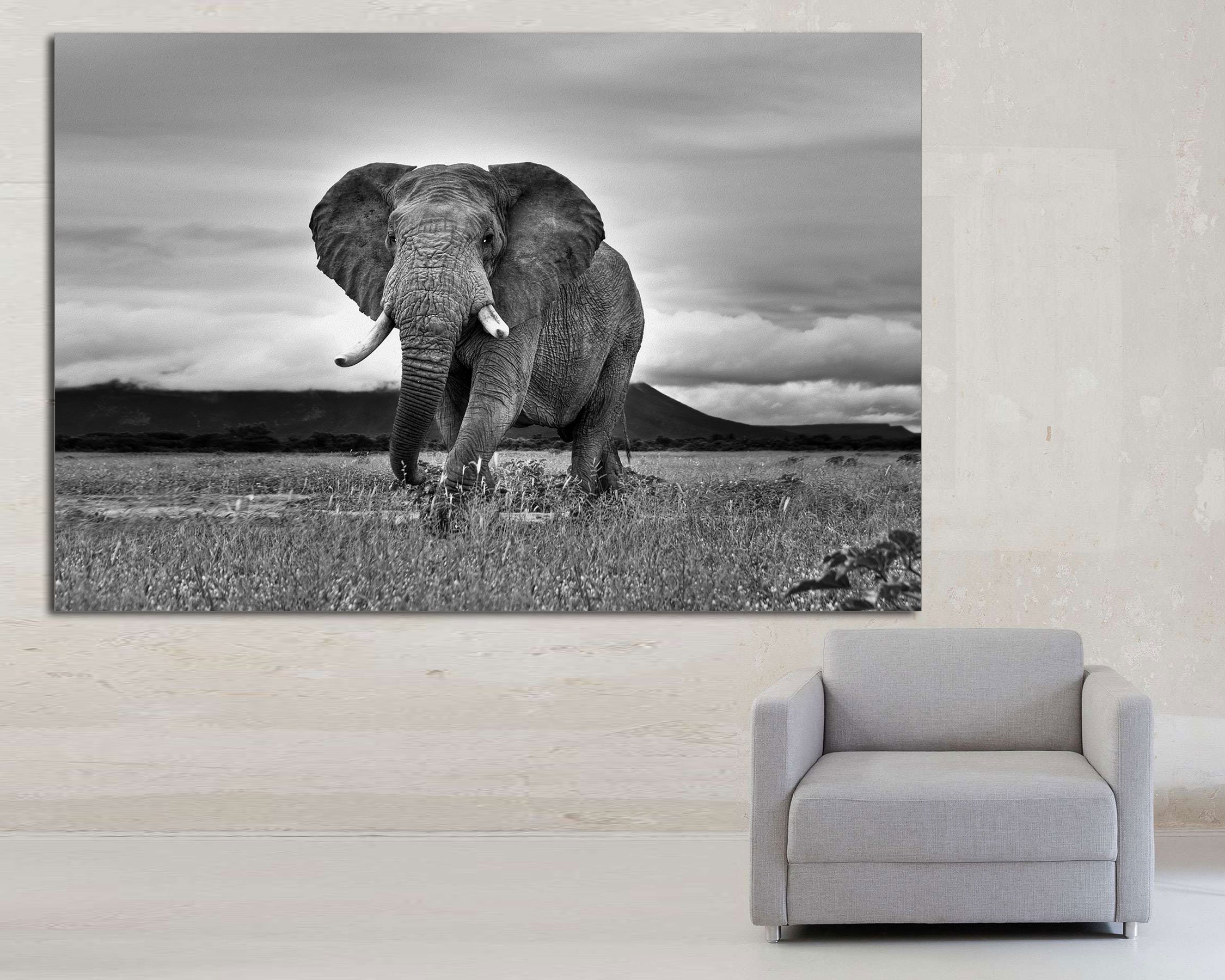 African Elephant Walking Black and White Elephant Print Etsy