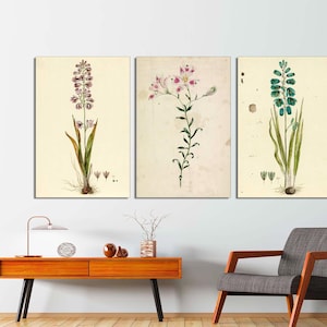 Set of 3 Vintage Botanical Prints, Vintage Neutral Botanical Art,Antique Botanical Art, Rustic Botanical wall Art CANVAS Print READY to HANG