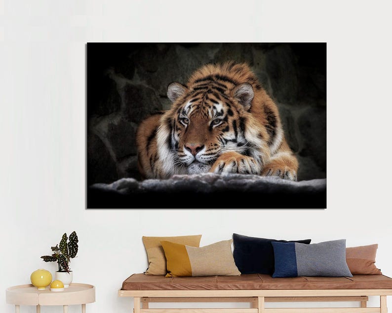 May include: A close-up of a tiger lying down with its head resting on its paws. The tiger has orange and black stripes and is looking directly at the camera.