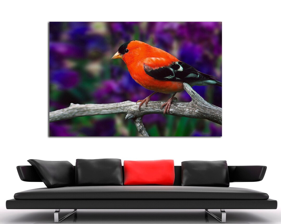Beautiful Red Bird Canvas Print,canvas Print, Red Bird Wall Art
