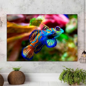 Mandarin Goby, Reef Aquarium Canvas Wall Art for Coral and Fish Lovers, Colorful Beautiful Fish Art, Fish Room Decor, CANVAS Ready to Hang.