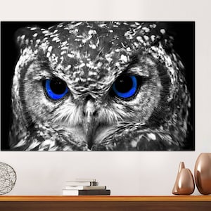 Blue Eyes Owl Animal Print Wall Decor Black and White Owl Blue Eyes Canvas Print Wall Art Living Room Home Decor Canvas Print READY TO HANG.